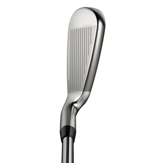 2025 [碳身] Cobra Golf DS-ADAPT MAX Irons I6-9,PW,SW 共6支