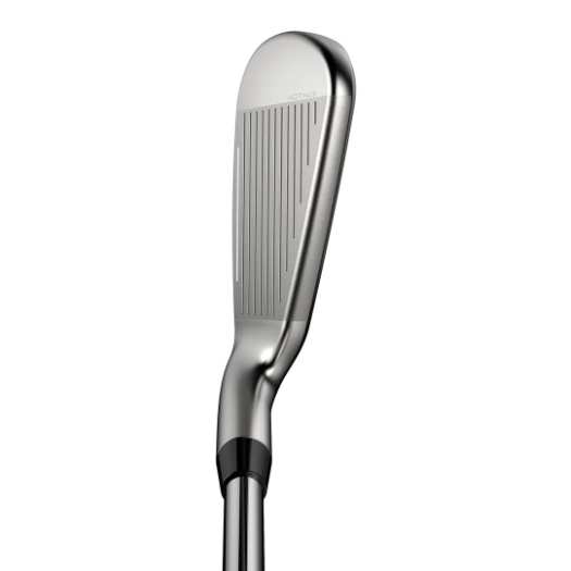 2025 [碳身] Cobra Golf DS-ADAPT Irons I5-9,PW 共6支