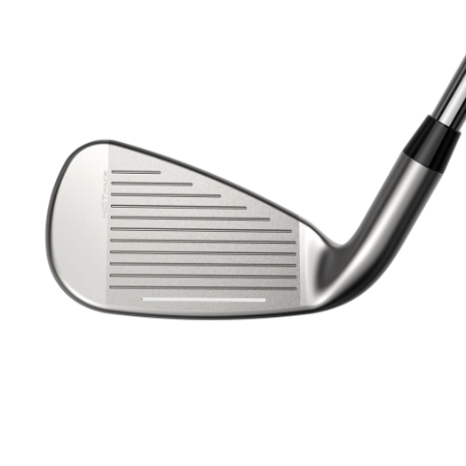 2025 [碳身] Cobra Golf DS-ADAPT MAX Irons I6-9,PW,SW 共6支